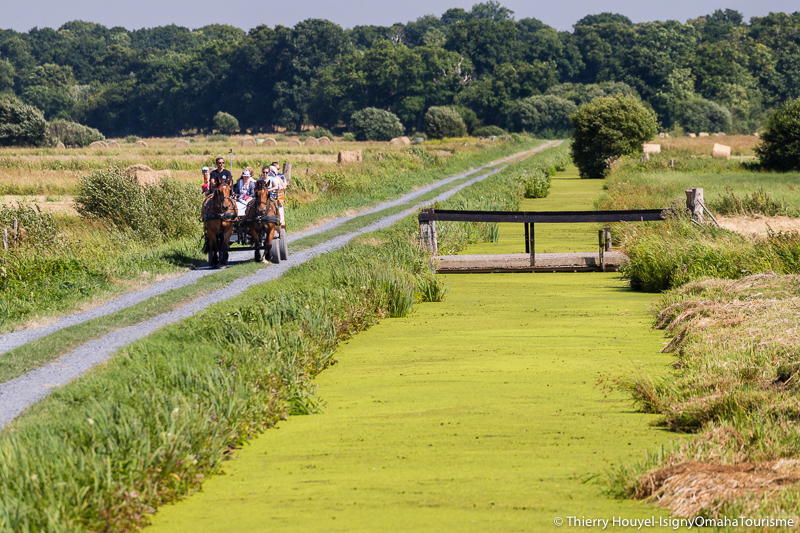   Boucle vélo marais Autour d'Isigny Trévières 