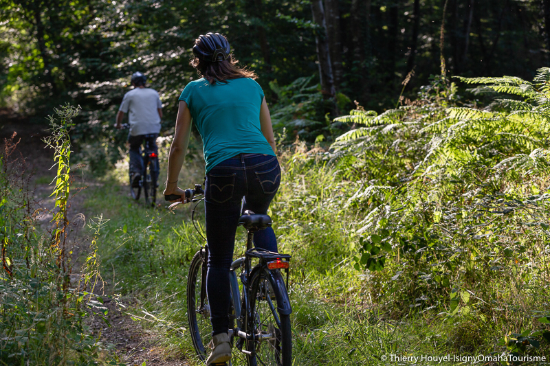   ©Thierry Houyel-velo foret-12 