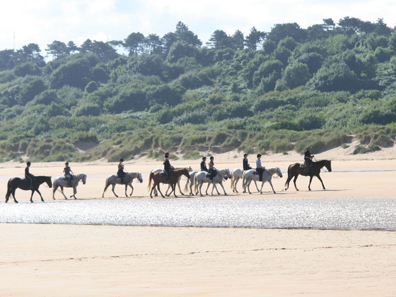   Balade cheval plage Calvados (9) 