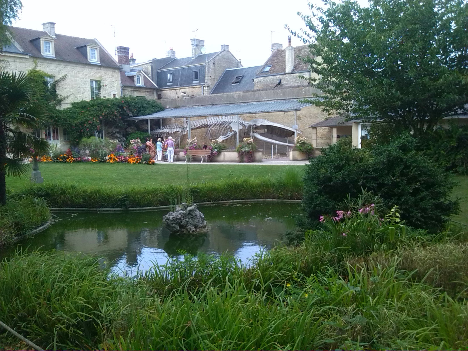 Parc De La Baleine Luc Sur Mer
