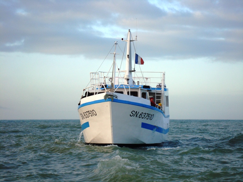   Flipper II, sorties en mer Iles St Marcouf 