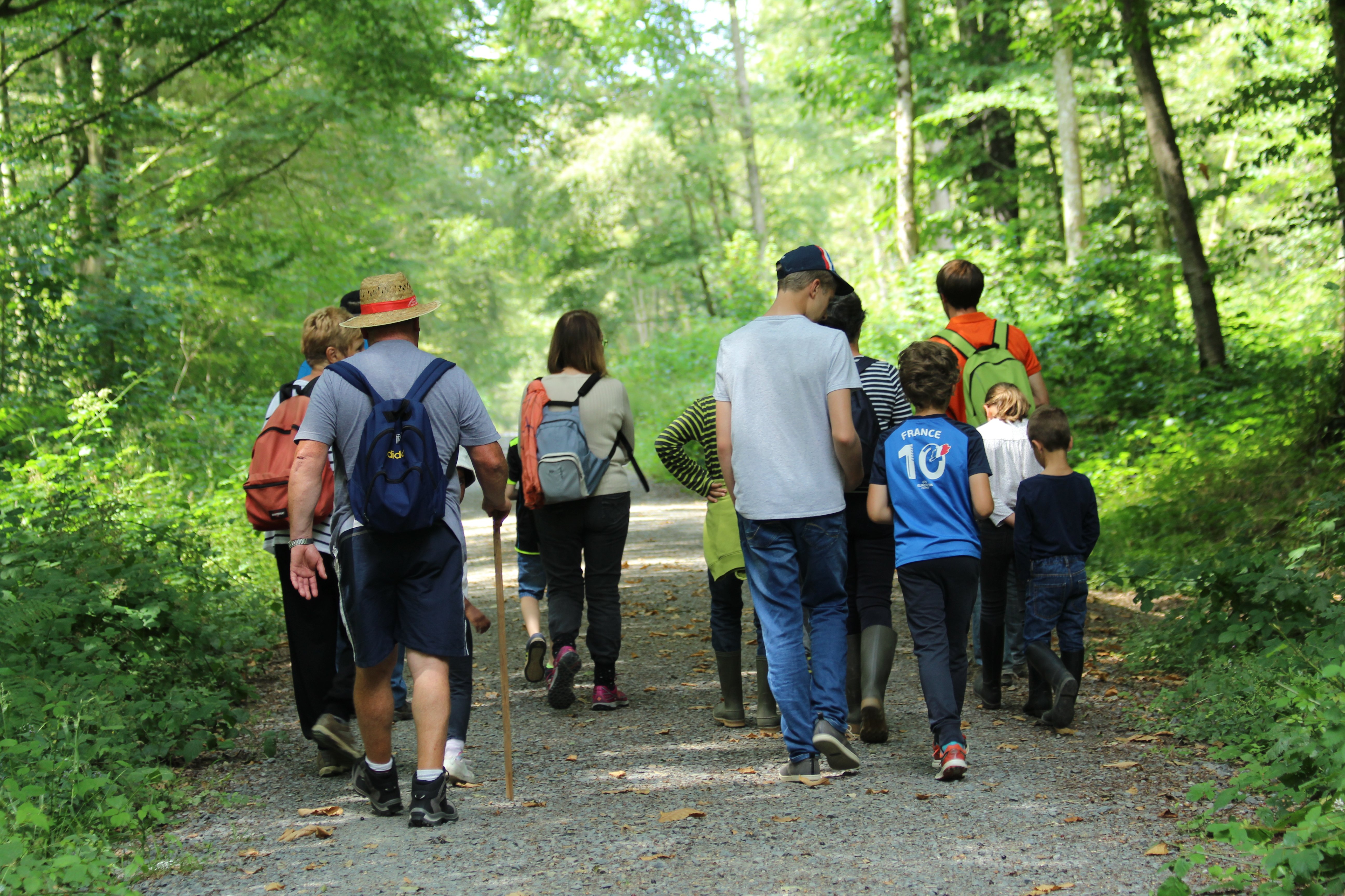   sortie-nature-foretdecerisy 