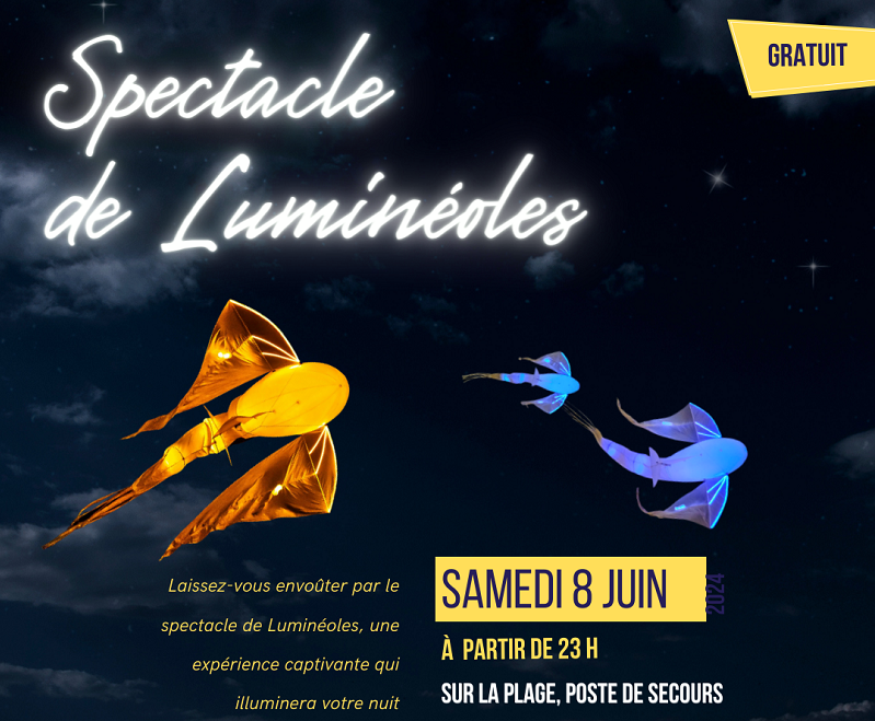 Spectacle de Luminéoles Le 8 juin 2024