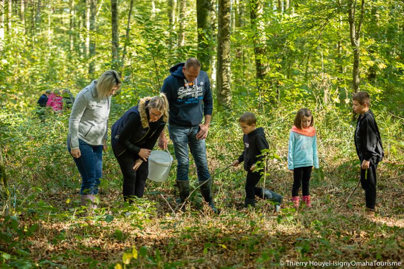   animation forêt- Isigny-Omaha 