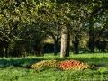 pommier©Thierry Houyel-vallee aure-17