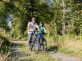 Vélo en forêt