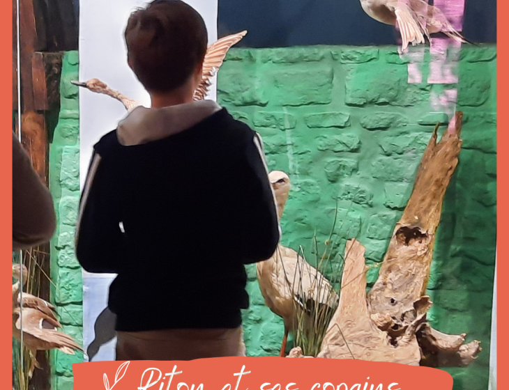 Animation Riton et ses copains