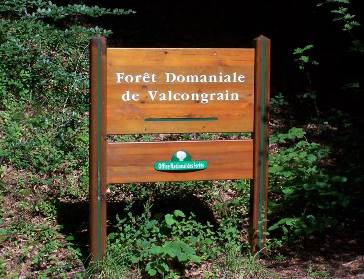 Forêt Domaniale de Valcongrain