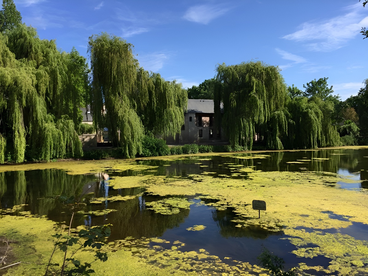 La Mystérieuse - ©PONTS SUR SEULLES La Mystérieuse - ©PONTS SUR SEULLES