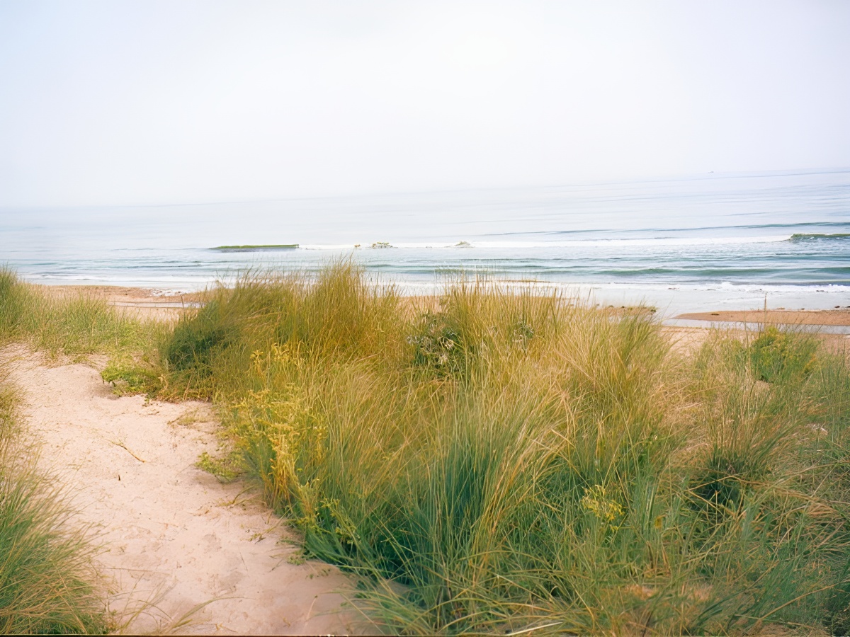 1431-4 - ©COLLEVILLE SUR MER 1431-4 - ©COLLEVILLE SUR MER