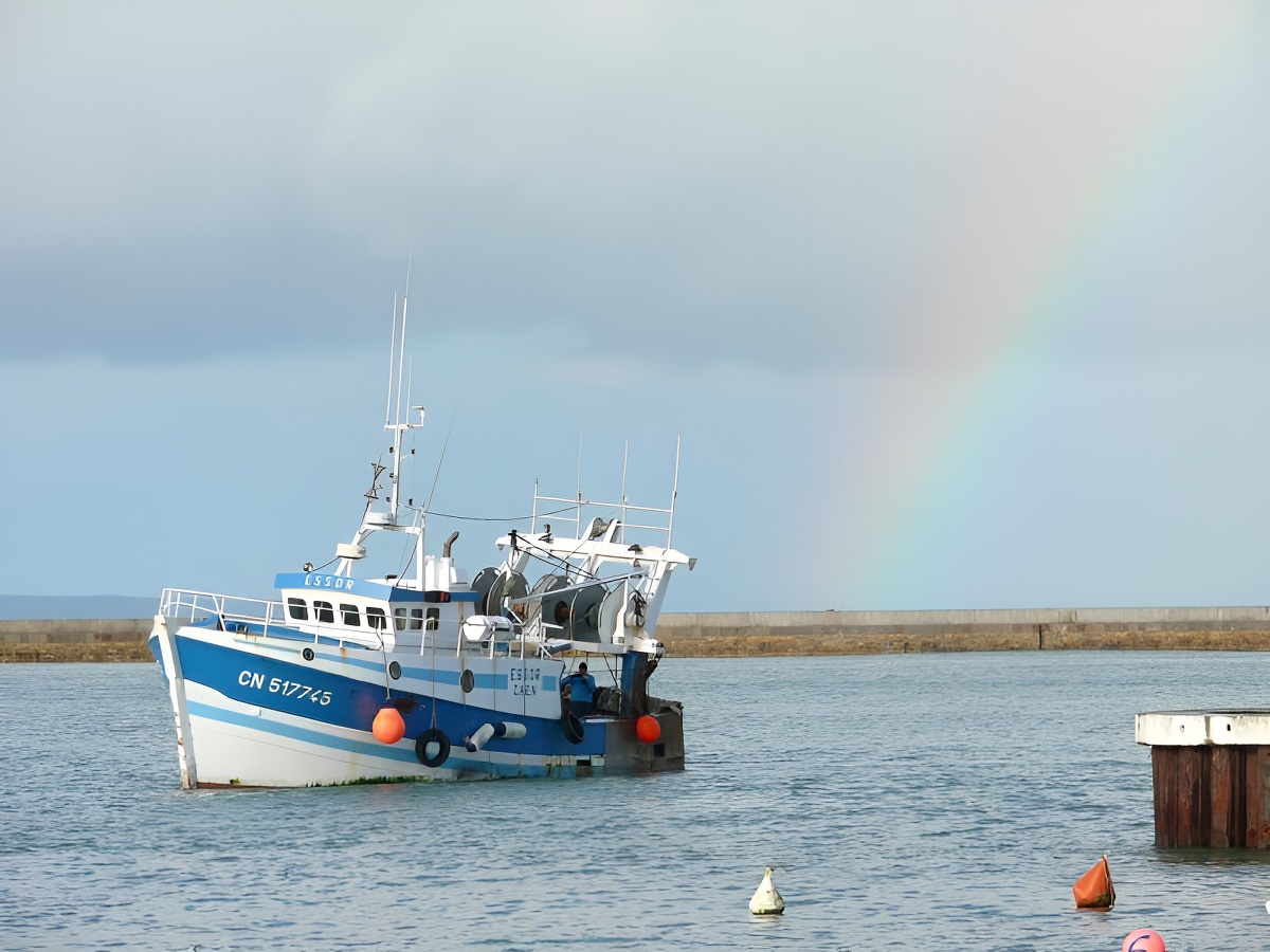 1439-12 - ©PORT EN BESSIN 1439-12 - ©PORT EN BESSIN