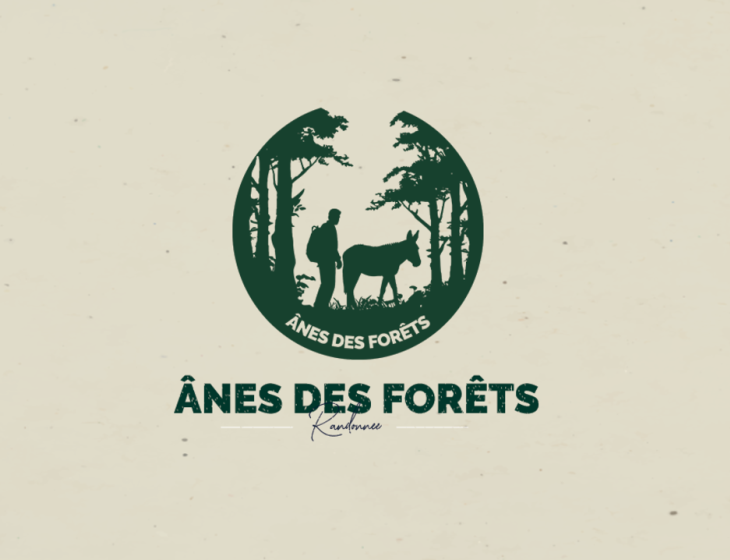 Ânes des Forêts 