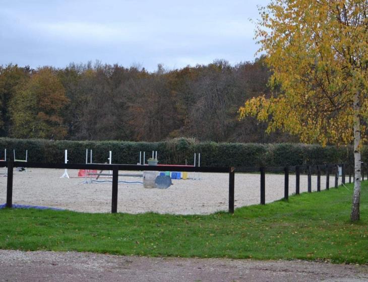1Ecurie Optimum Horses (1)