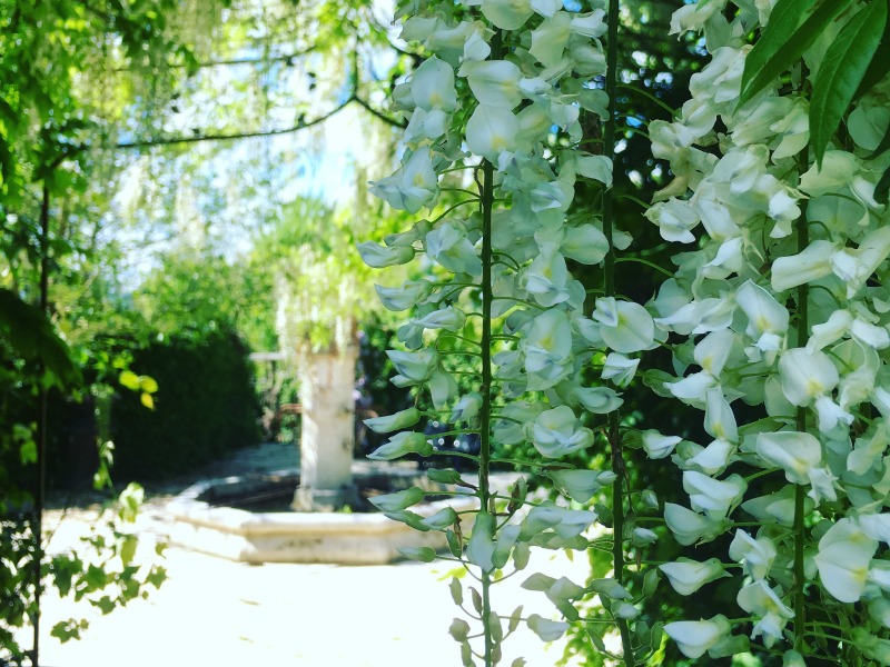 Domaine d'Albizia - Les Jardins - ©Domaine d'Albizia Domaine d'Albizia - Les Jardins - ©Domaine d'Albizia