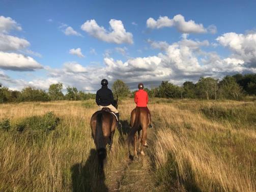 20191014---centre-equestre-blonville---Diaporama-1---800X600