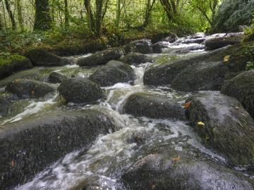 20200812_OT_PaysdeVire_LMACH_Cascades-Pontesretours-16