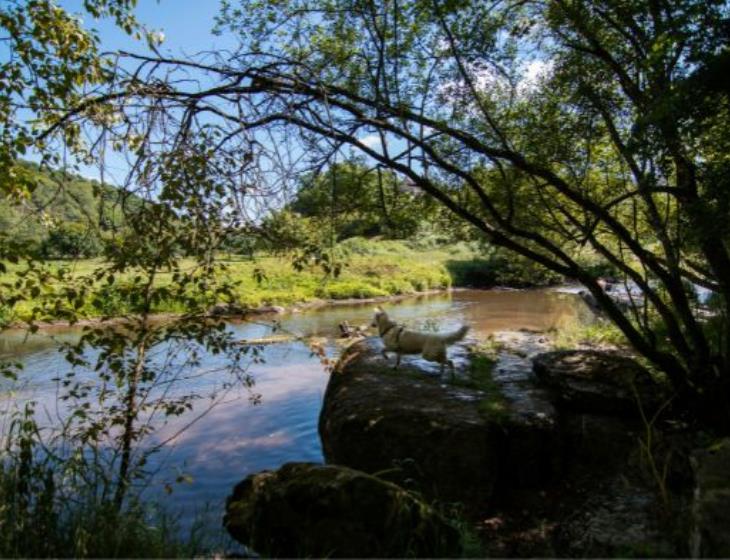 Vallée de la Souleuvre