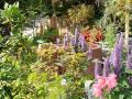 Jardins d'été