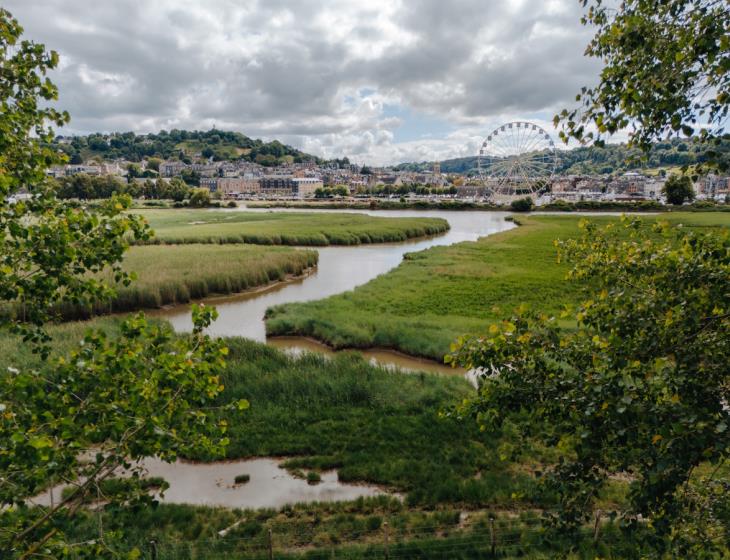 Le bassin des chasses