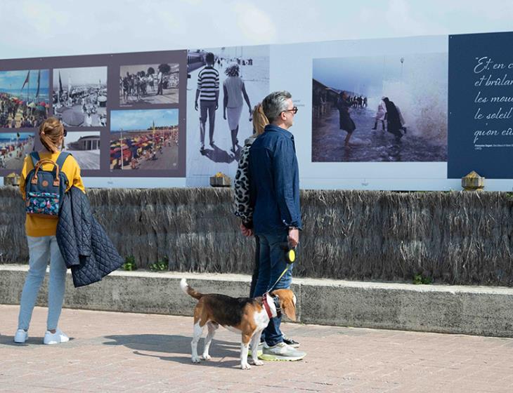 2024.05.20 Expo palissade 100 ans Planches © Sandrine Boyer Engel (10)