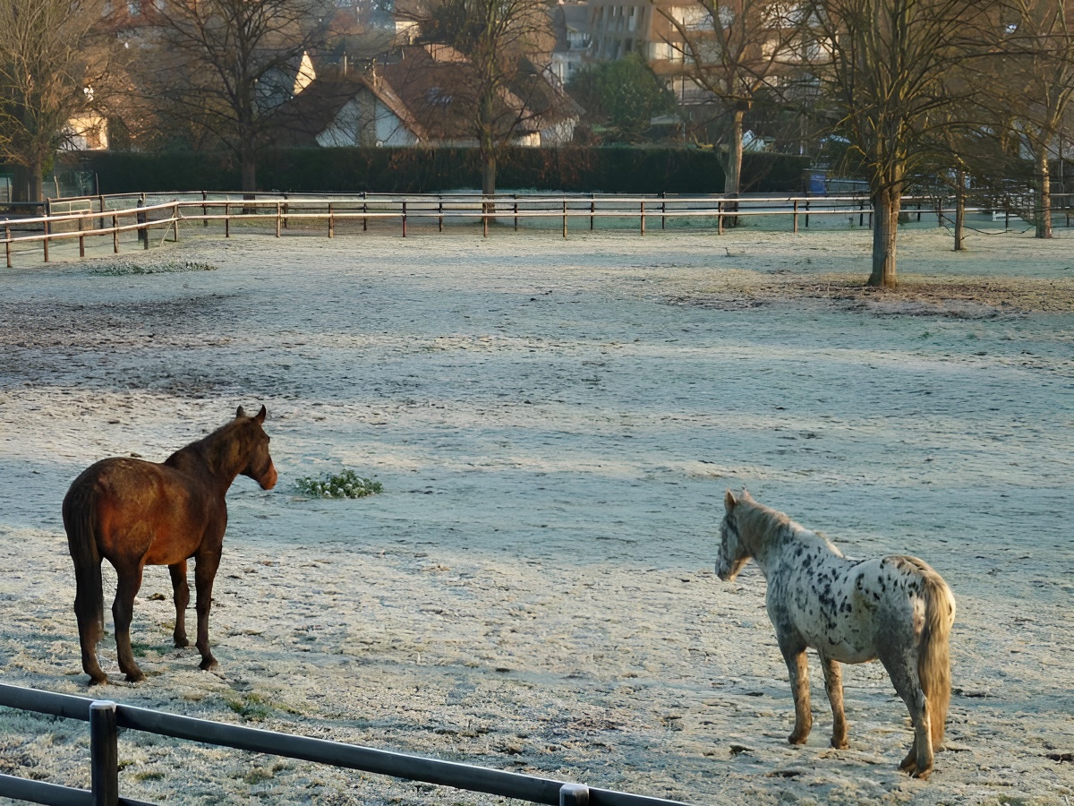 Le Rucher - ©HOULGATE Le Rucher - ©HOULGATE