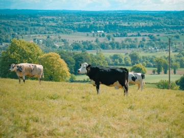 24 - le circuit des calvaires VTT