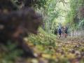 241017-1029-otns-trail-A1L01380©le7emeStudio.fr