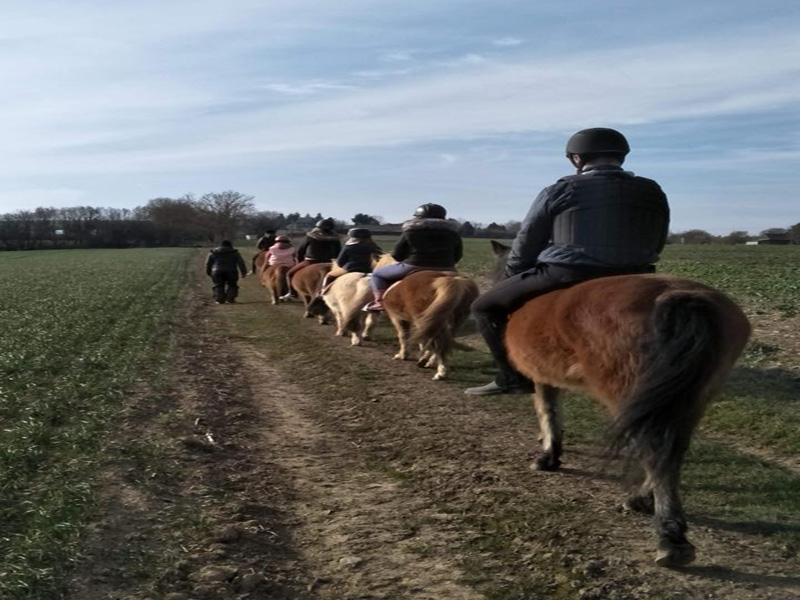 Ecurie des monts - ©Ecurie des monts Ecurie des monts - ©Ecurie des monts
