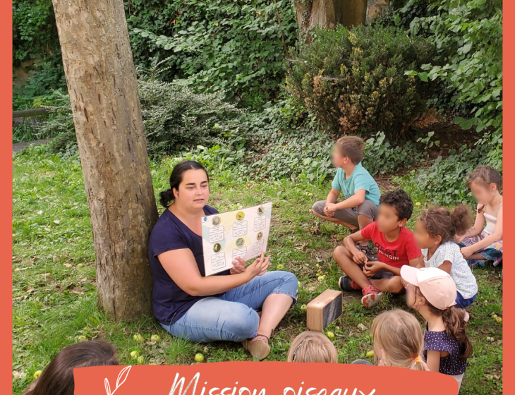 Mission oiseaux