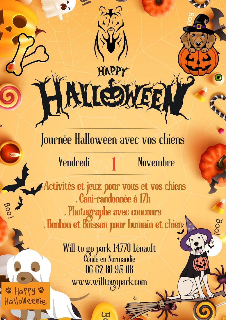 Halloween au parc canin Will Go To Park Le 1 nov 2024