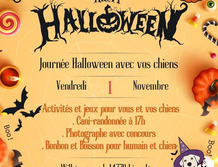 Affiche Halloween