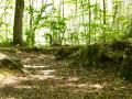 5 juin IFS__Pauline___Mehdi_-_Photographie-1500px