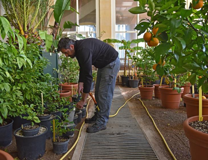 507579-Jardin_des_plantes-Solveig_DE_LA_HOUGUE___Ville_de_Caen