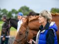 Après-midi bien-être avec les chevaux