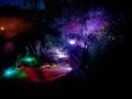 Pierres en Lumières au Jardin de Manou