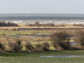 Marais-de-Ver-sur-Mer-copyright-Arnaud-Guerin-Lithosphere