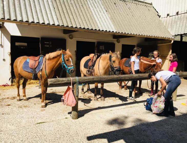 centre-equestre-caen-shuc-poney-club