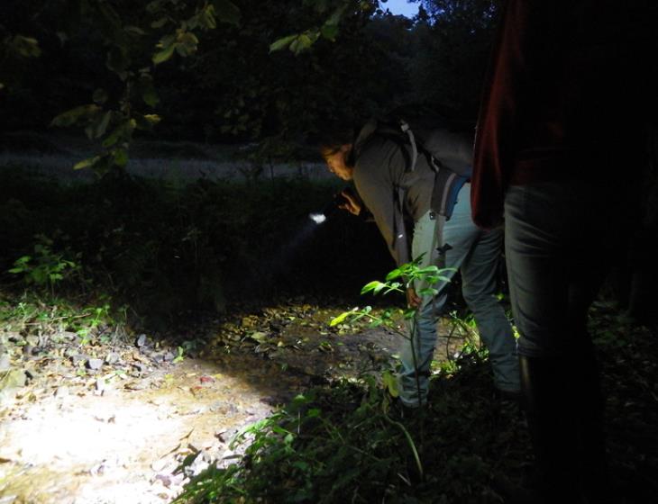 Rand'eau nocturne dans la vallée de la Souleuvre 