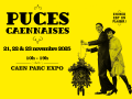 Puces Caennaises 2025