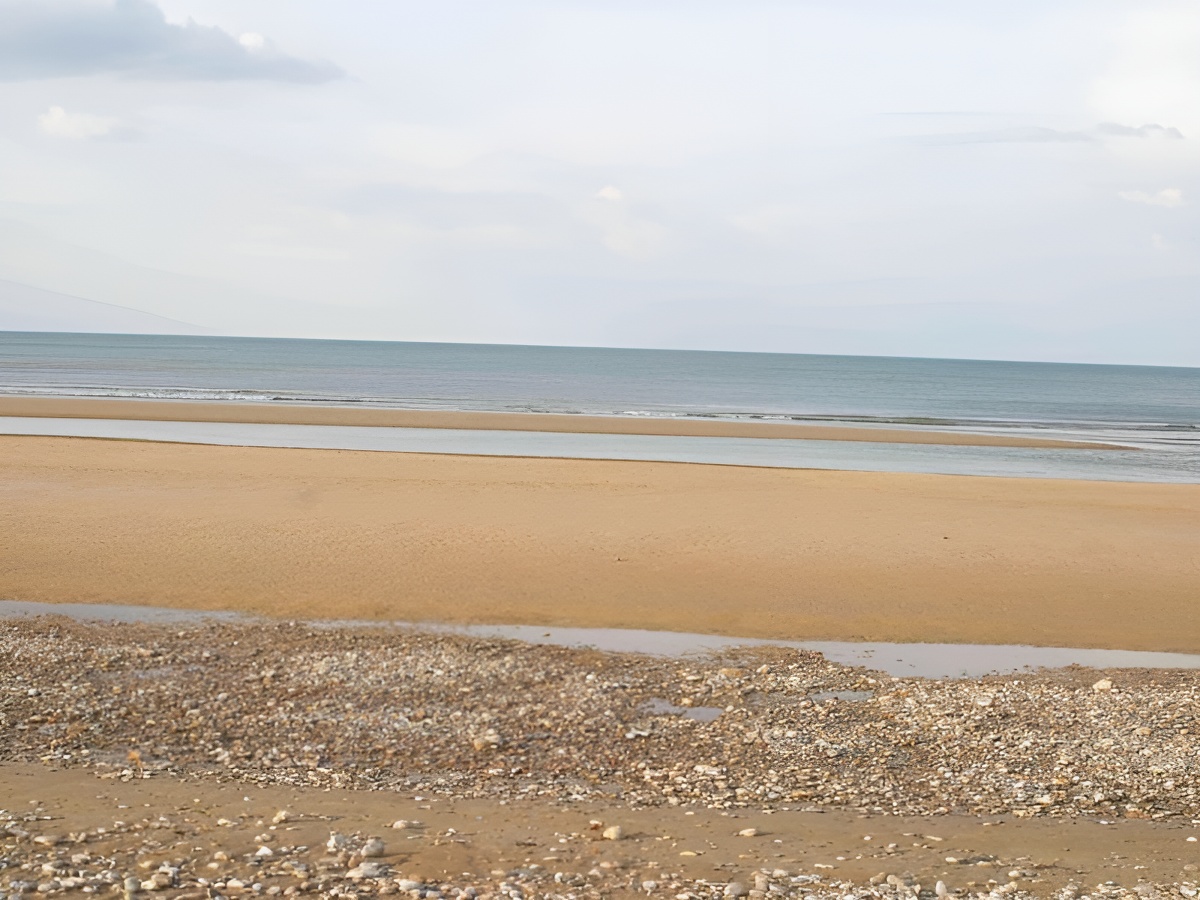 Les Hortensias - ©COLLEVILLE SUR MER Les Hortensias - ©COLLEVILLE SUR MER