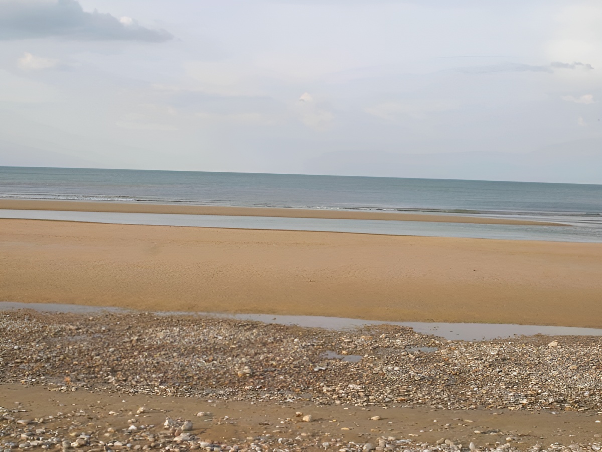 Les Lilas - ©COLLEVILLE SUR MER Les Lilas - ©COLLEVILLE SUR MER
