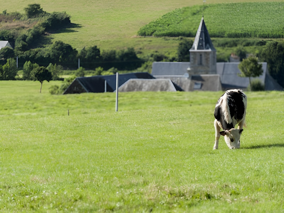 La ferme du Champ - ©SOULEUVRE EN BOCAGE La ferme du Champ - ©SOULEUVRE EN BOCAGE