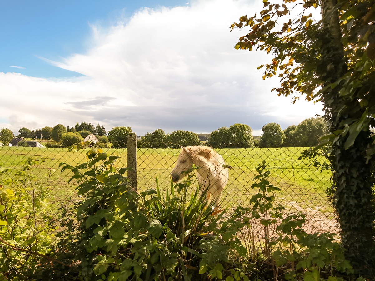 La ferme du Champ - ©SOULEUVRE EN BOCAGE La ferme du Champ - ©SOULEUVRE EN BOCAGE