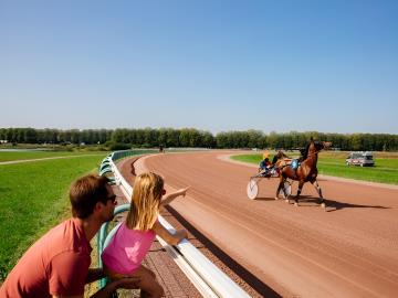 A la découverte des coulisses de l'hippodrome - Les_Conteurs_(Droits_reserves_Office_de_Tourisme___des_Congres)