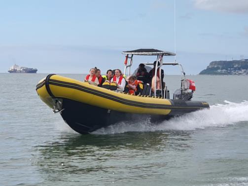 ASC Elite nautic 4