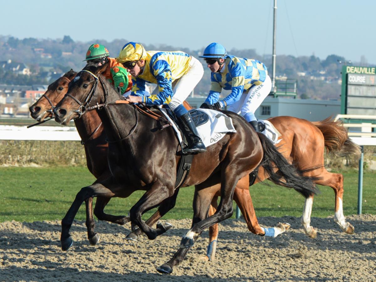 Les Equidays Courses Hippiques Deauville La Touques Calvados Tourisme calendrier courses hippiques pmu 2021