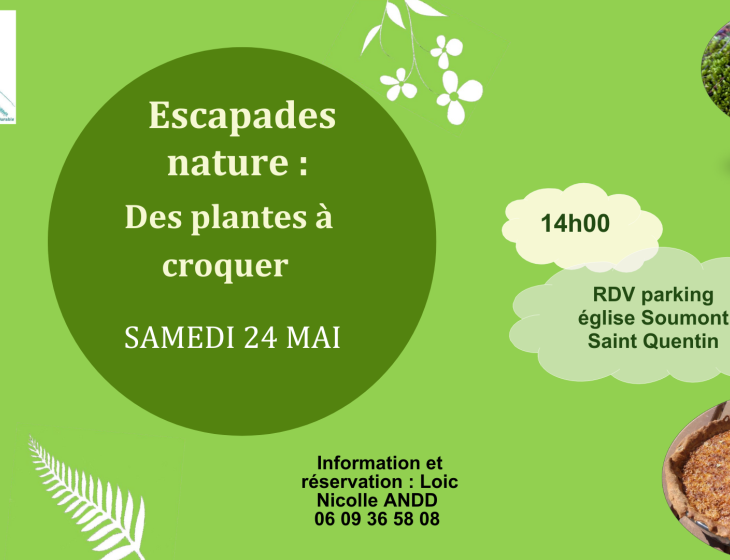 Animations_Tourinsoft - 1
