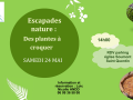 Animations_Tourinsoft - 1