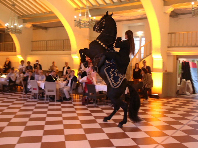 Show de dressage par Arène Événements - ©Arène Événements Show de dressage par Arène Événements - ©Arène Événements