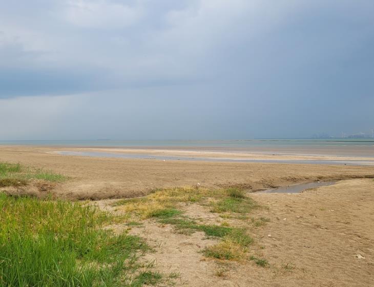 Atelier Recycl'Art à la Plage du Butin - 01